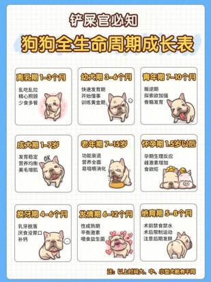 狗狗同父异母能不能繁育后代-图1