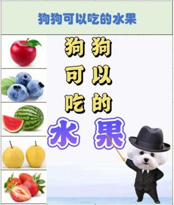 狗狗能吃桑葚么-图1