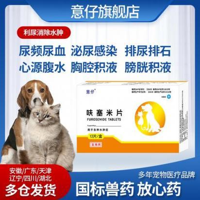 狗狗尿血吃什么药最好