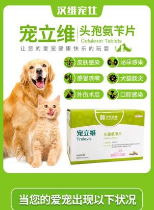 狗狗前列腺炎吃什么药-图1