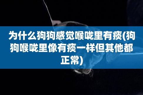 狗狗呼吸感觉喉咙有痰-图1