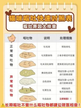 猫呕吐的原因及治疗办法-图1