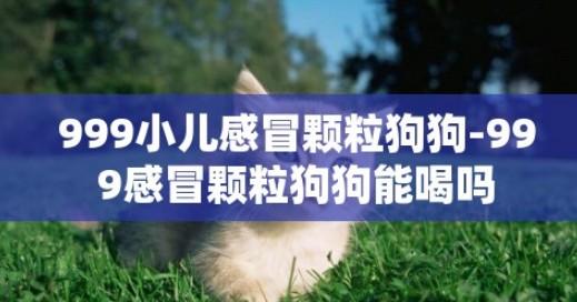 狗狗能吃小儿感冒颗粒吗-图1