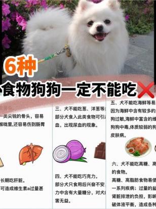 狗狗能吃猪肝吗-图1