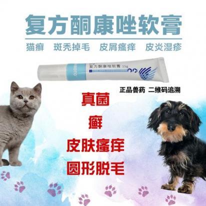 狗狗身上有白色皮屑用什么药-图1