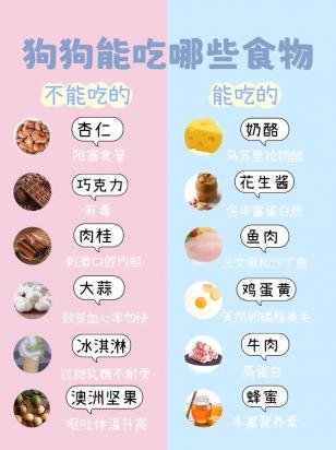 狗狗吃了干燥剂怎么办有生命危险吗