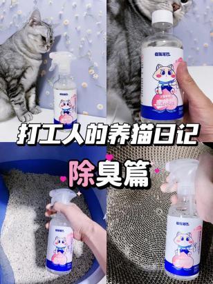 猫尿没有味道怎么回事-图1