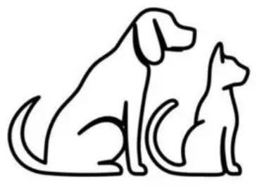 猫狗鸡鸭的简笔画