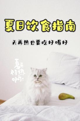 猫咪夏天是不是不爱吃饭-图1