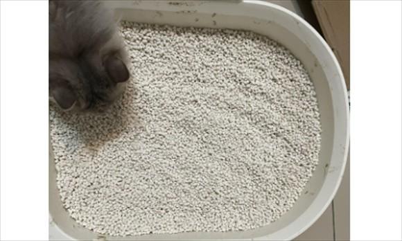 猫砂可以混合使用吗-图1