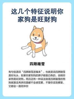 狗狗为什么被认为能带来好运和财富？