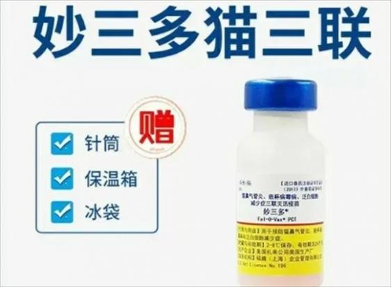 猫三联预防哪些病-图1