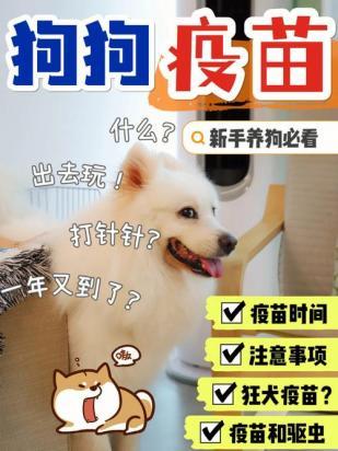 宠物狗家养必须打疫苗吗视频-图1