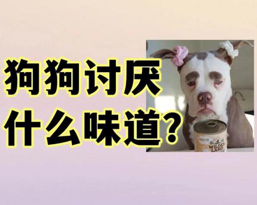 狗狗怕什么气味不乱拉屎-图1