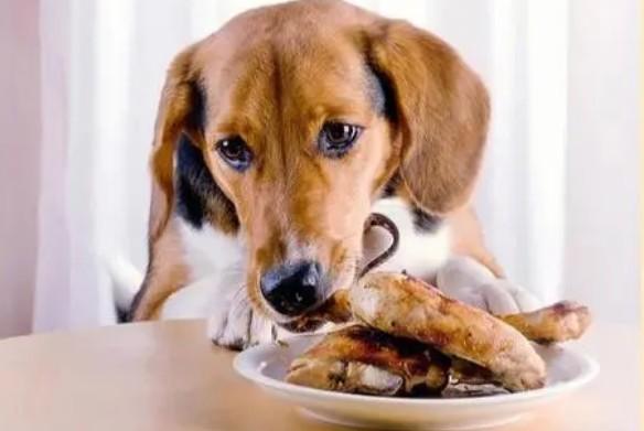狗狗禁忌食物清单
