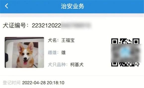 查狗证的警察怎么查-图1
