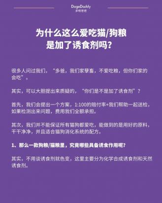 猫咪吃狗粮可以吗会有事吗-图1