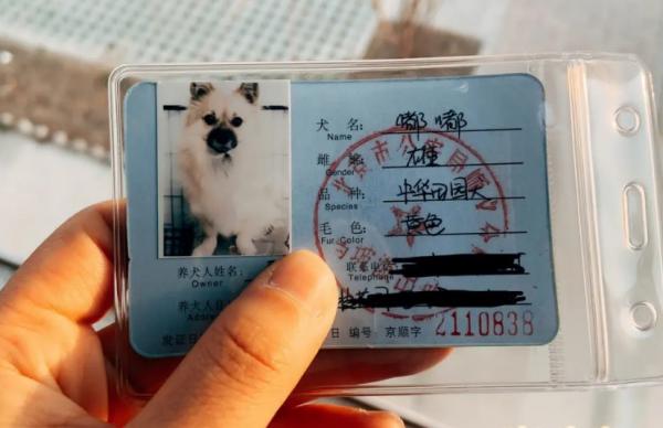 北京狗证不同区的都可以生效吗-图1