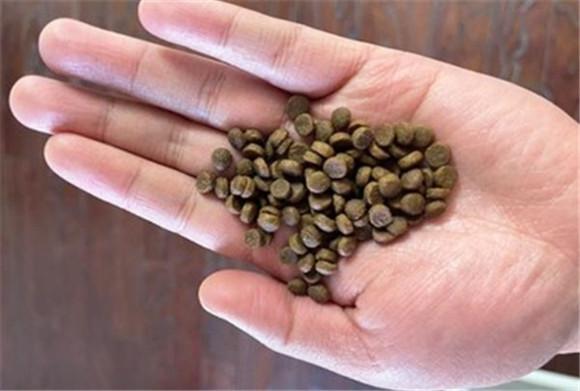猫粮和狗粮的区别-图1