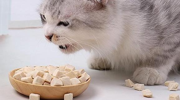 猫零食营养增肥-图1