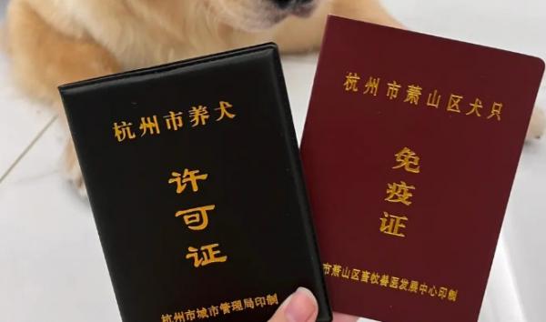 办一个狗证多少钱-图1