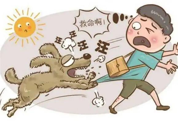 被宠物狗咬了怎么处理-图1