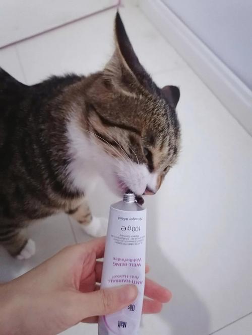 猫咪为什么要吃化毛膏-图1