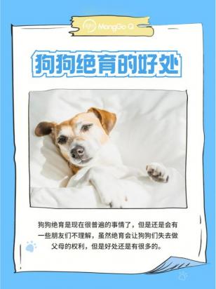 宠物绝育的重要性和必要性有哪些-图1