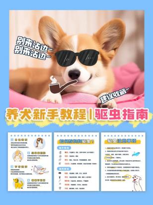狗狗驱虫正确方法-图1