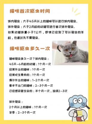 猫咪好久驱虫一次