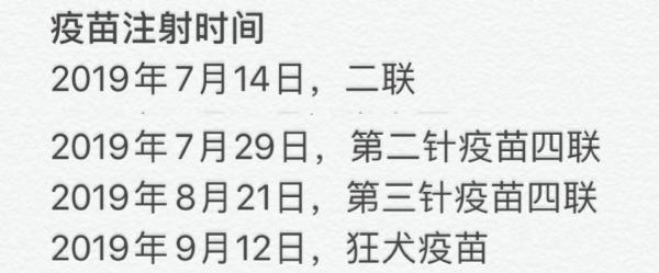 狗狗神经炎一般打几天针