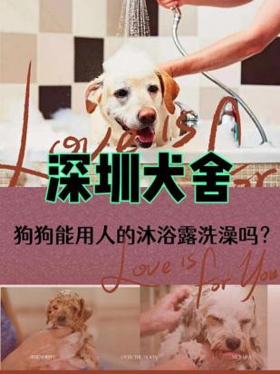 土狗可以用人的沐浴露洗澡吗