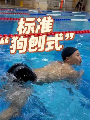 土狗怎么训练游泳-图1