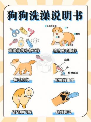 怎么帮狗狗洗澡洗得干净-图1