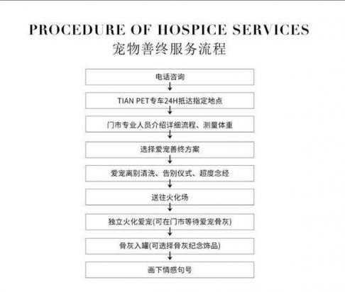 宠物殡葬需要什么手续-图1