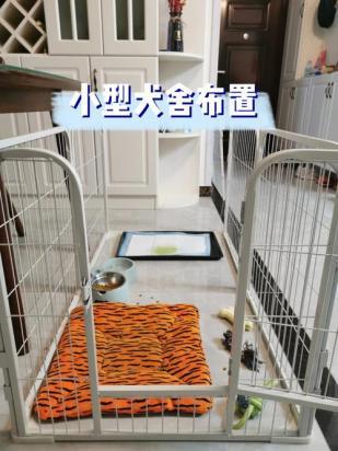 狗厕和狗笼要分开吗-图1