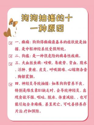 狗狗身体一抽一抽的怎么回事啊-图1