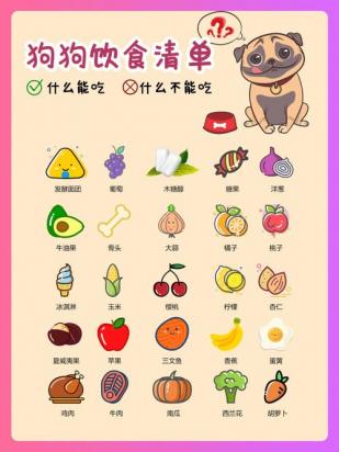 3个月美国恶霸犬的食谱-图1