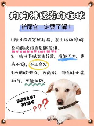 泰迪狗神经炎治疗方法