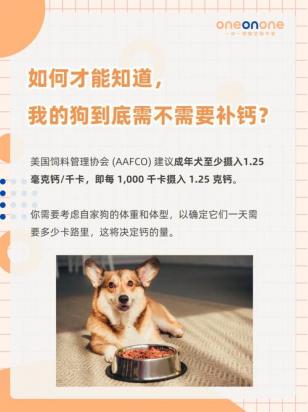 如何判断狗狗补钙过量-图1