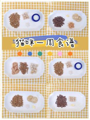 3个月蓝猫的食谱-图1