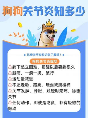 狗关节炎会自己慢慢好吗-图1