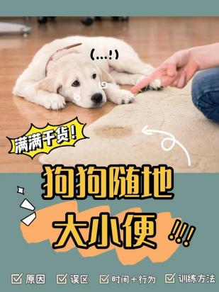 狗狗尿黄怎么改善