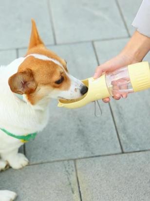 狗狗喂水一直放着好不好？要不要一直给狗狗备着水？-1