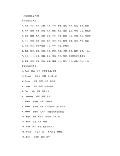 狗狗名字带福气的有哪些-图1