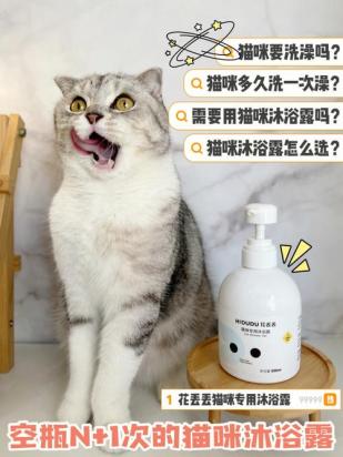 什么能代替猫沐浴露-图1