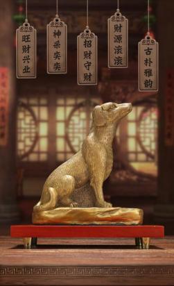 门口放什么东西可以驱狗-图1