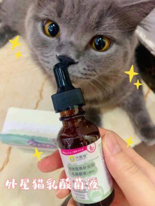 猫咪喝了一点84稀释水有事吗-图1