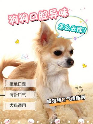 狗体臭味怎么除掉