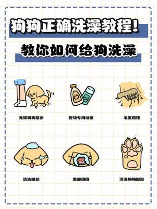 如何让狗狗洗澡的时候很听话